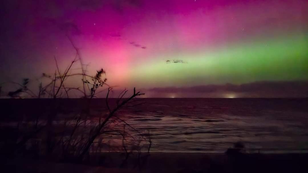 Fewo Unter Der Kuehlung Bastorf Exteriör bild