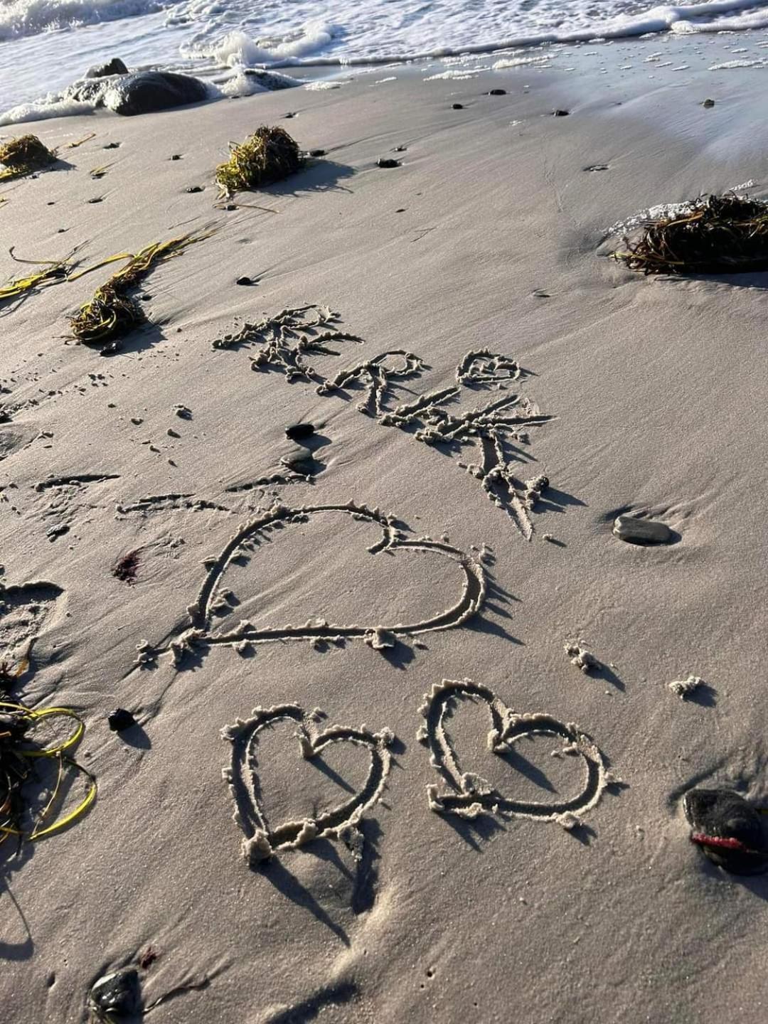 Fewo Unter Der Kuehlung Bastorf Exteriör bild
